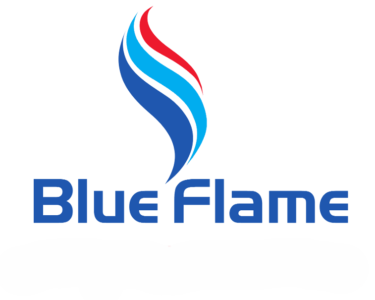 Blue Flame Services Ltd logo
