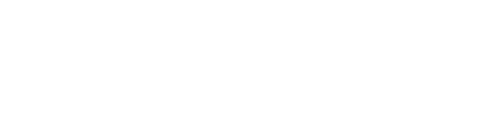 Logo de PRECISION