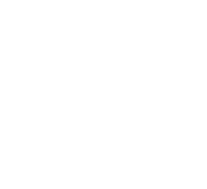 Logo de PRIMAX Perú
