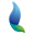 Logo de Quavii