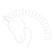 Logo de Rasenna SAC