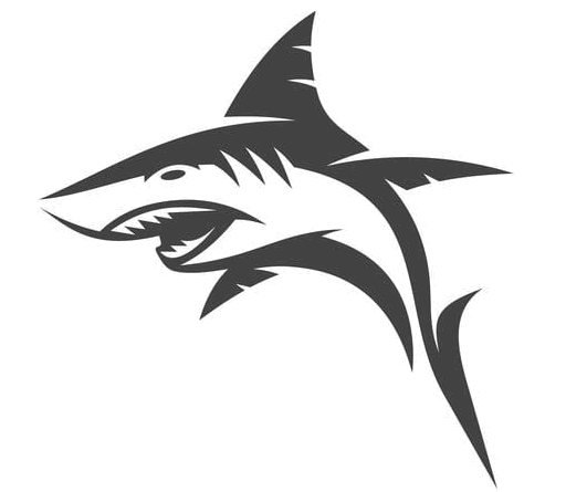 Kestrel Warrior 6 logo