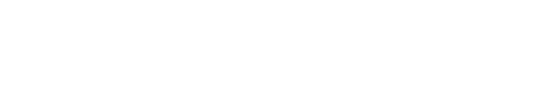 Logo de STANSA
