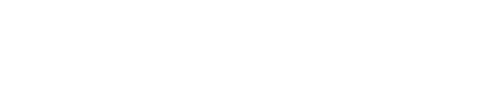 Synch Electric Bikes logo