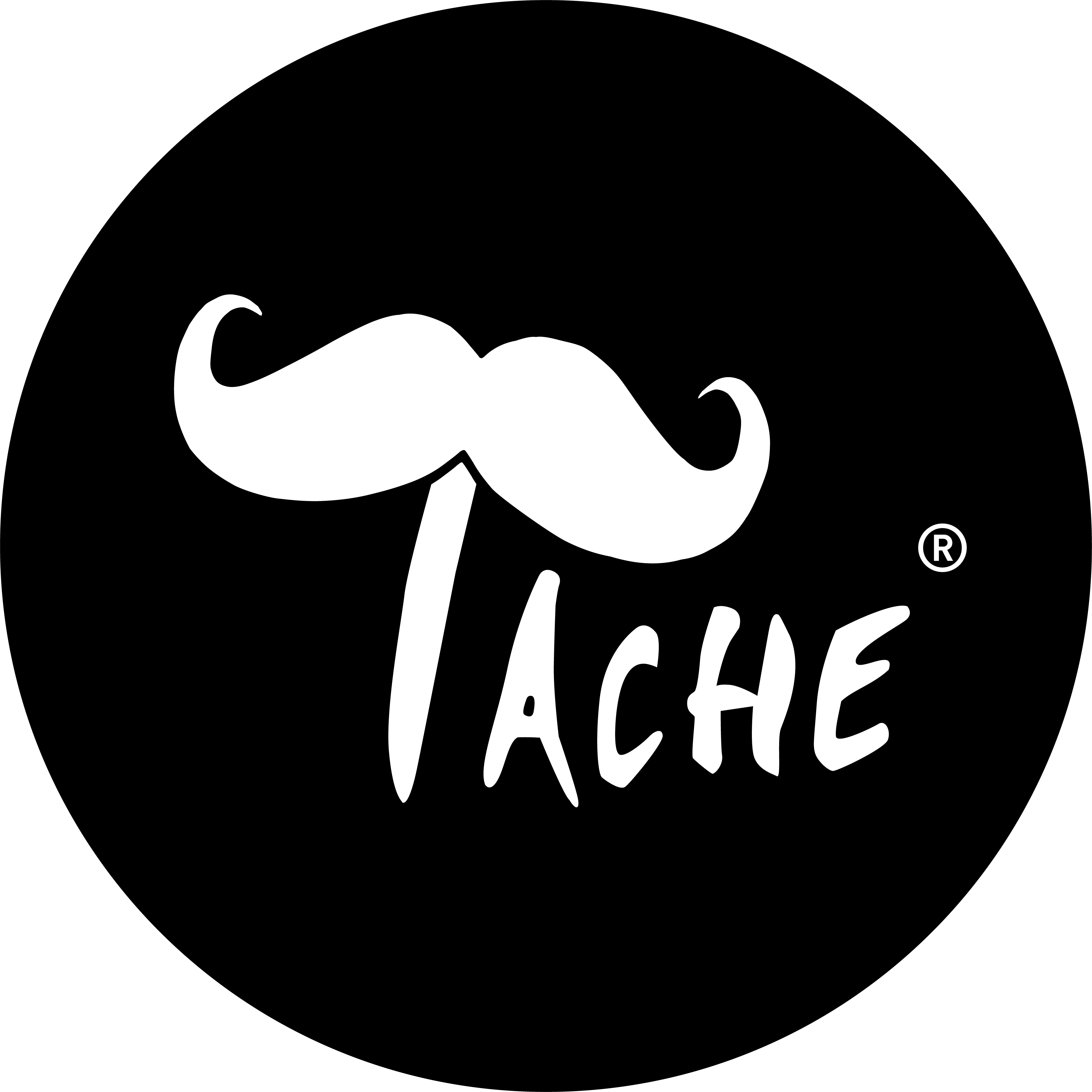 TACHE logo