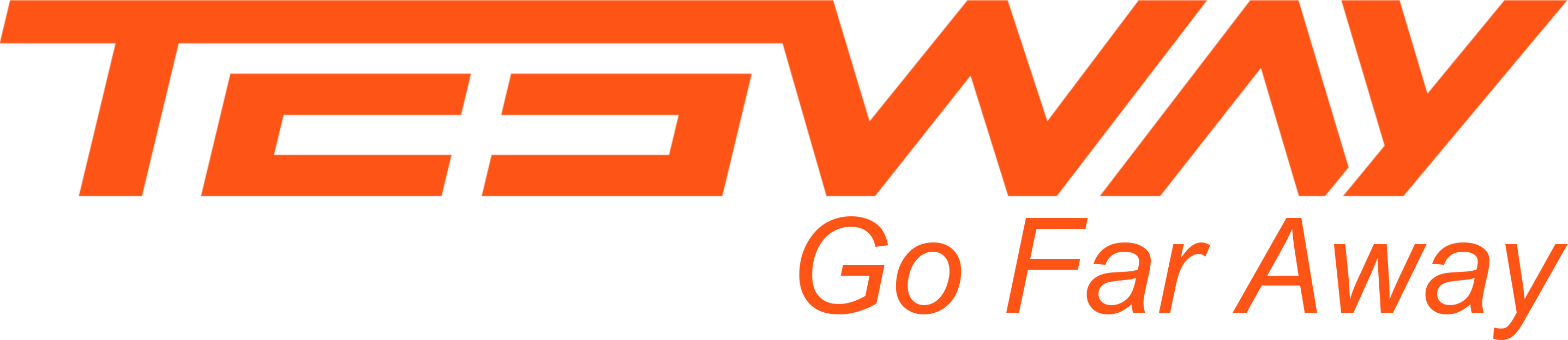 Tesway logo