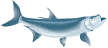 Logo de Cheeca Lodge & Spa