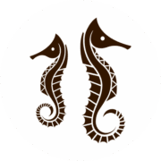 The Brando logo