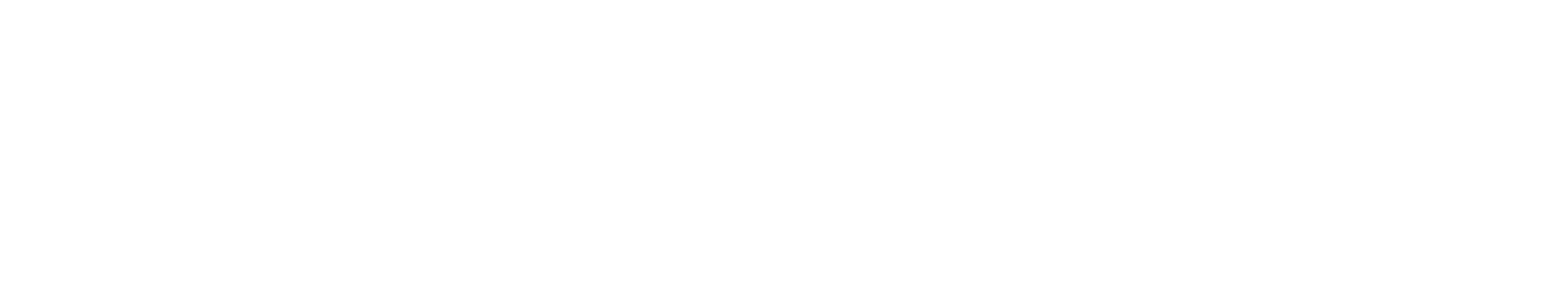 The Formula logo