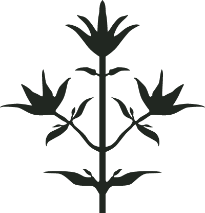 Logo de Thyme