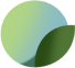 Twelve Silver Trees logo