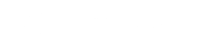 Neon Vibes logo