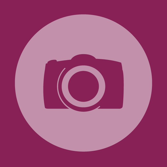 UsedPhotoPro logo