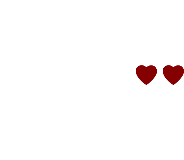 Vinyl Tempo logo