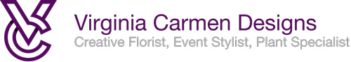 Virginia Carmen Designs logo