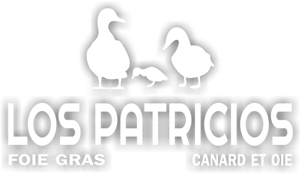 Logo de Los Patricios