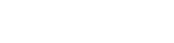 Wekiwi logo